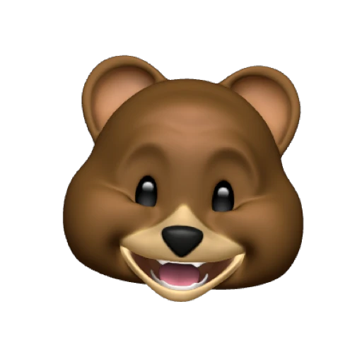 bear