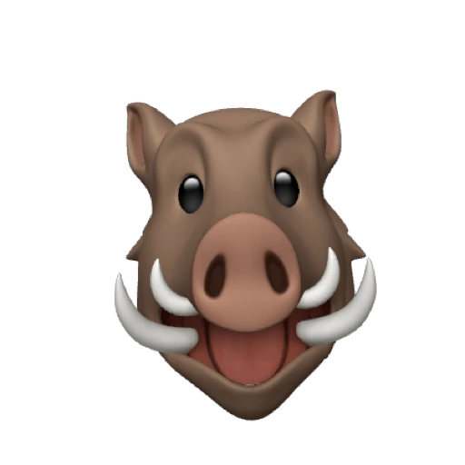 boar