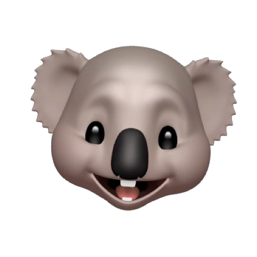 koala